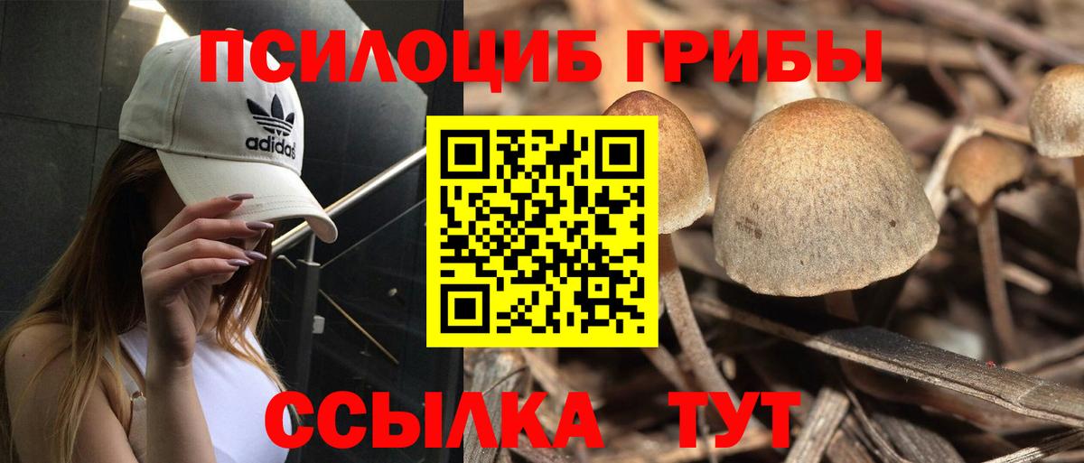 Псилоцибиновые грибы мицелий  Псилоцибиновые грибы Psilocybe  Гусиноозёрск  Вход с VPN 